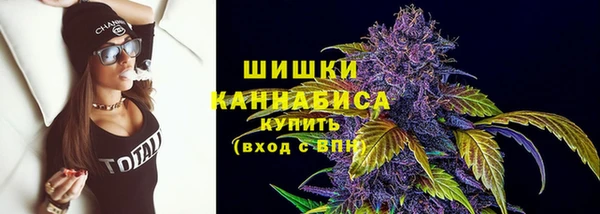 гидра Арсеньев
