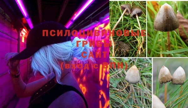 метадон Армянск