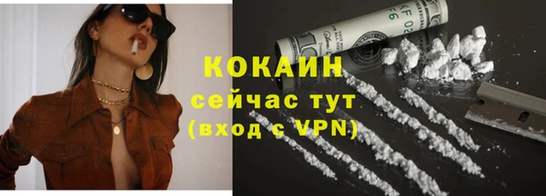 гидра Арсеньев