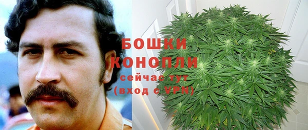 гидра Арсеньев