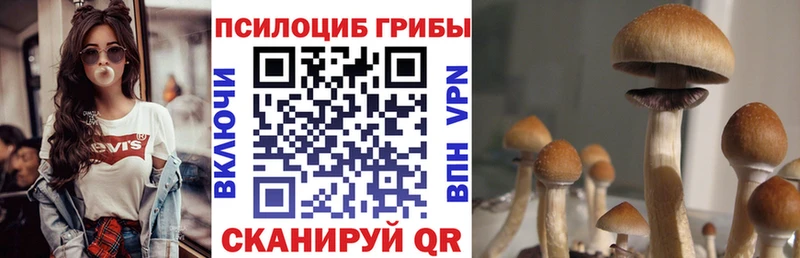 Псилоцибиновые грибы мухоморы  MEGA маркетплейс  Ступино  купить наркотик 